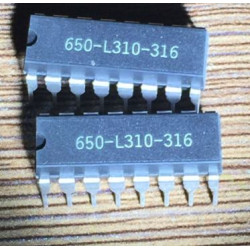 650-L310-316