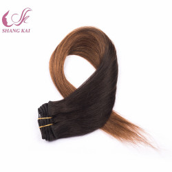 100% Brazilian Remy Clip in Hair Extension Russian Virgin Hair Clip in Human Hair Extensions