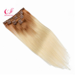 100% Human Virgin Wholesale Brazilian T-Color Remy Clip in Hair Extension