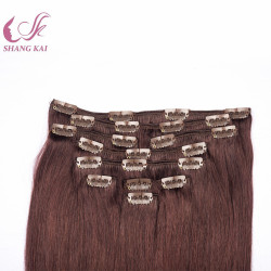 100% Indian Human Hair Clip in Human Hair Extension Silky Straight Remy Hair