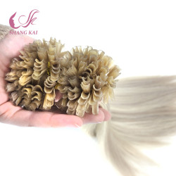 Best Quality Factory Price U-Tip Hair Extension