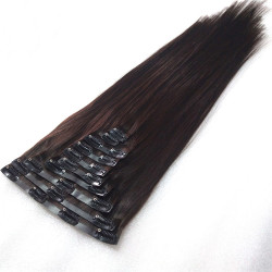 Black Silky Straight Brazilian Virgin Clip in Human Hair Extension