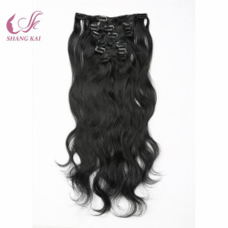 Brazilian Remy Human Hair Clip in Hair Extension