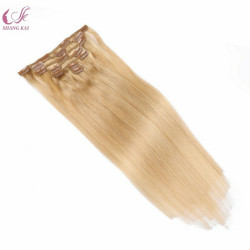 Brazilian Virgin Hair Extension Top Quality Remy Clip on Hair