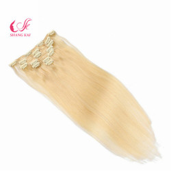 Brazilian Wholesale 100% Human Virgin Remy Clip in Hair Extension