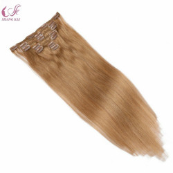 Clip in Remy Human Hair Extension