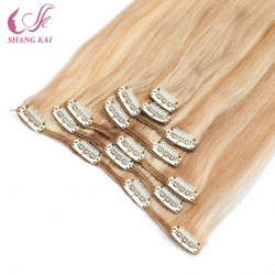 Factory Price Brazilian Remy Indian Hair Extension Clip-Ins