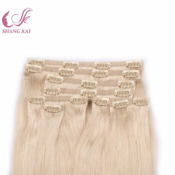 Factory Price High Quality Russian Hair Seamless Clip in Hair Extensions
