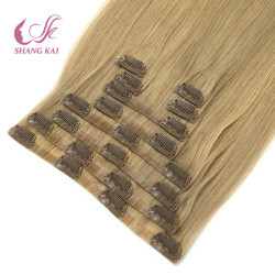 Factory Price Remy Human Hair Clip in Extension Brown Color