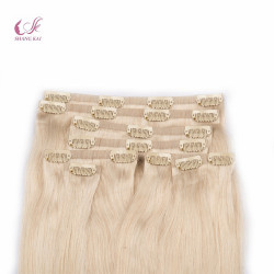 Factory Price Top Grade Double Drawn Skin Weft Seamless Clip in Hair Extension