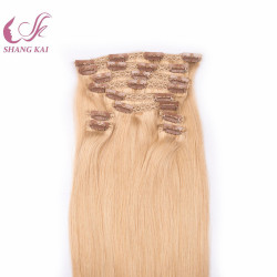 Full Head Double Drawn Clip in Hair Extension with Lace
