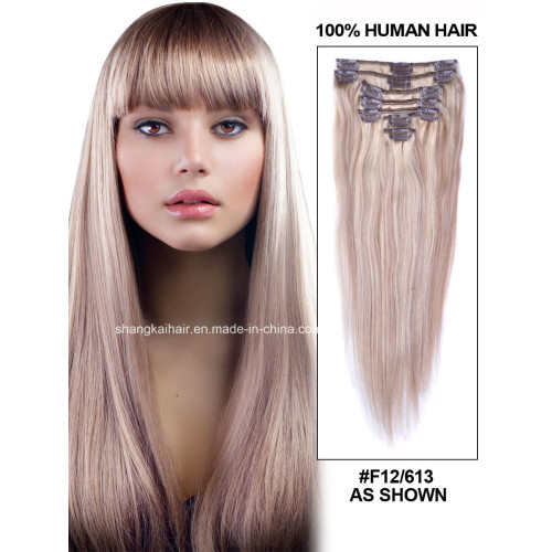 Hair Extension Supplier Clip in Remy Human Hair Extension