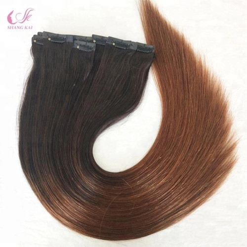 High Grade Virgin Hair 100% Human Hair Seamless Clip Hair Extensions