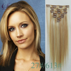 High Quality Virgin Hair Brizilian Hair Extension Clip in Hair Extension