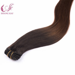 Hot Sale Double Drawn Remy Clip in Human Hair Extensions Wholesale Ombre Color Hair