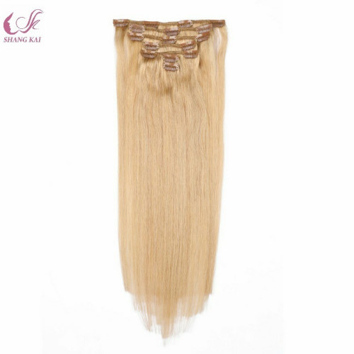 Indian Remy Hair Clips in Hair Extensions