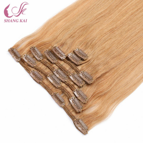 Luxury Brazilian Virgin Clip in Hair Extension