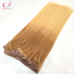 Manufacutures Factory Price Ombre Color European Human Hair Seamless Clip in Hair Extension