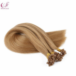 Prebonded Hot Fusion U Tip Hair Extensions Wholesale Remy Hair Russian Human Hair