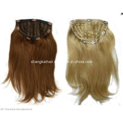 Remy Clip on Hair Brazilian Virgin Human Hair Extension