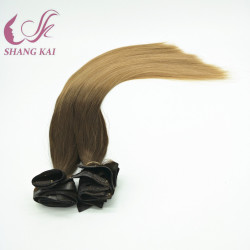 Remy Human Clip Hair Extensions, Virgin Russian Seamless Clip in Hair