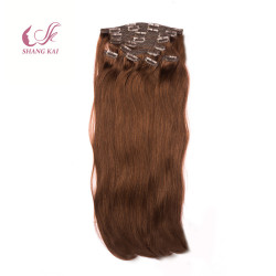 Remy Virgin Hair 120g / 160g / 220g Double Drawn Clip in Hair Extensions