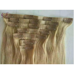 Seamless Clips in Hair Extension