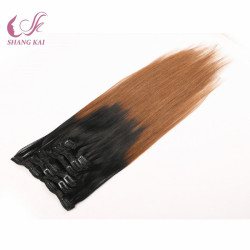 Supplier Hair Salon Brazilian Human Hair Clip Extension