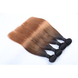 Three Tone Color Hair Weft Brazilian Human Hair Remy Hair