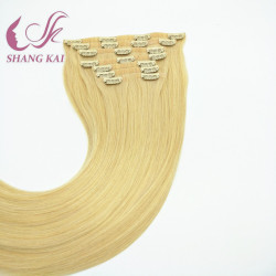 Top Quality Hot Selling Unprocessed 100% Human Virgin Remy Silk Straight Indian Seamless Clip in Hair Extensions