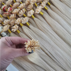 Whole Price Top Quality Huamn Hair Extensions U Tip Hair